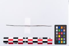 Foto von Bronzenähnadel (NHMW-PRAE-035780)